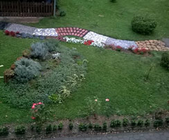 dom za odrasle osobe